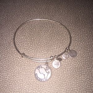 Alex and Ani Charm Bracelet